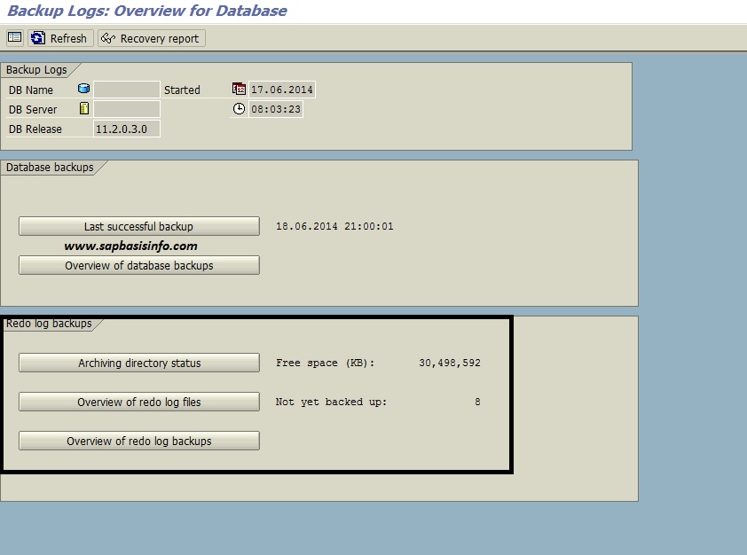 REDO LOG Informations on SAP