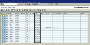 CPU Time Usage List in SM50 Transaction