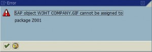 SAP Object Cannot be Assigned to Package