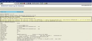 BRTOOLS Actions "could not load SSF library" Warning