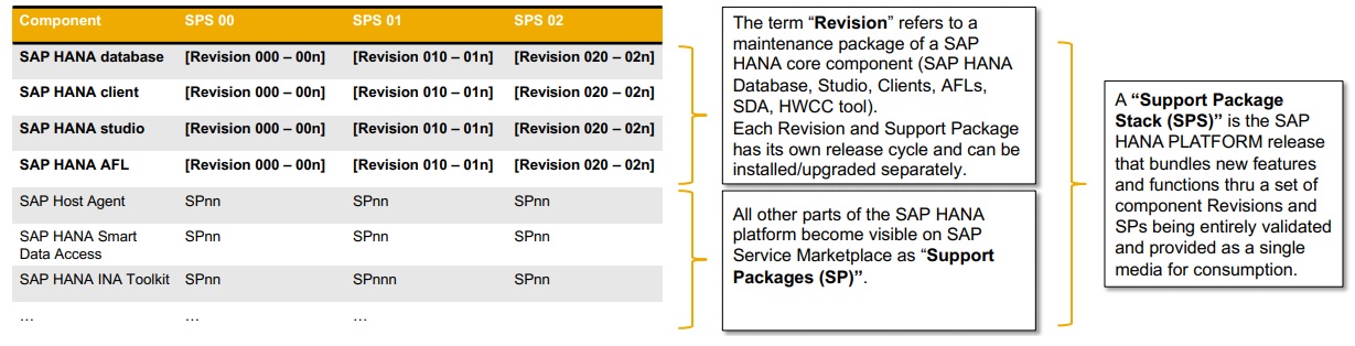 SAP HANA 2.0 Revision Strategy