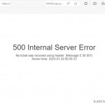 500 Internal Server Error via Web Browser